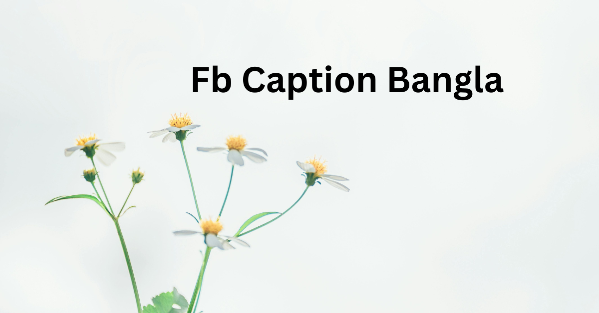 Fb Caption Bangla